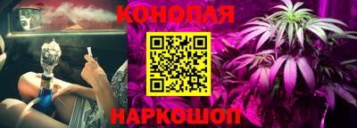 мдпв Бийск